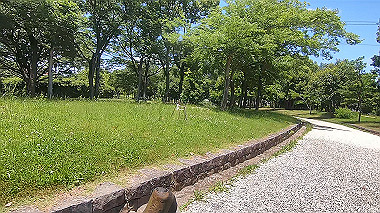 gx017926.mp4_snapshot_00.07_thumb.jpg