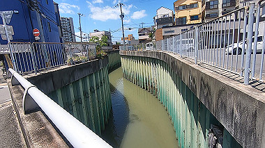 gx017929.mp4_snapshot_01.36_thumb.jpg
