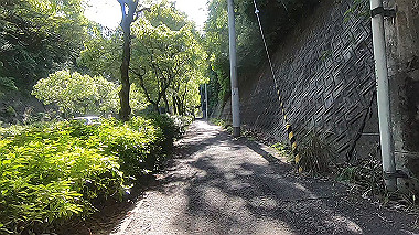 gx018818.mp4_snapshot_02.22_thumb.jpg