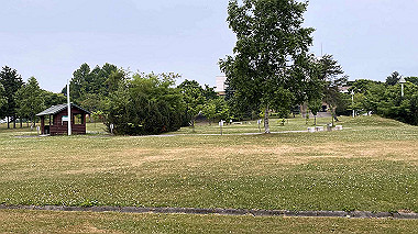 2023-06-29_06-11-20_586_thumb.jpg