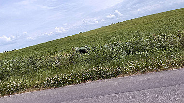 2023-06-29_11-12-52_631_thumb.jpg