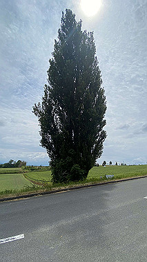 2023-06-29_11-19-18_077_thumb.jpg
