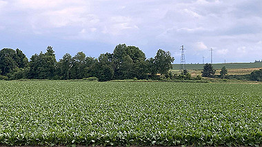 2023-06-29_17-05-39_039_thumb.jpg