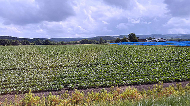 2023-06-30_09-12-27_687_thumb.jpg