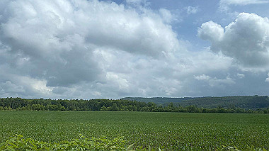 2023-06-30_09-13-47_676_thumb.jpg