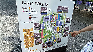 2023-06-30_10-40-38_549_thumb.jpg