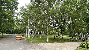 2023-06-30_13-41-07_995_thumb.jpg