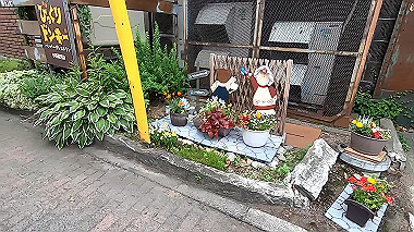 gx018843_x264.mp4_snapshot_00.30_thumb.jpg