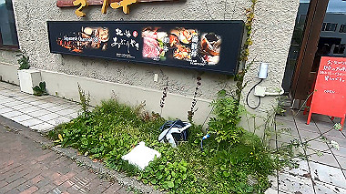 gx018844_x264.mp4_snapshot_00.03_thumb.jpg