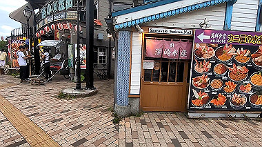 gx018847_x264.mp4_snapshot_00.14_thumb.jpg