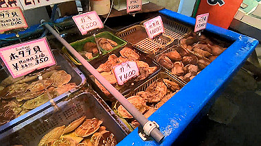 gx018856_x264.mp4_snapshot_00.17_thumb.jpg