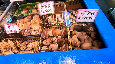 gx018856_x264.mp4_snapshot_00.20_thumb.jpg