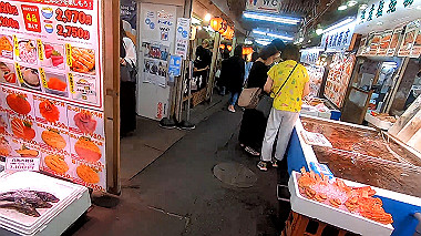 gx018856_x264.mp4_snapshot_01.44_thumb.jpg