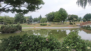 gx018864.mp4_snapshot_00.34_thumb.jpg