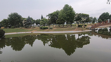 gx018864.mp4_snapshot_00.49_thumb.jpg