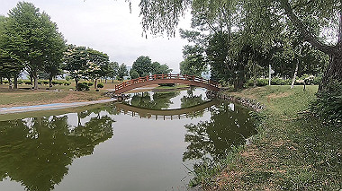 gx018864.mp4_snapshot_00.54_thumb.jpg