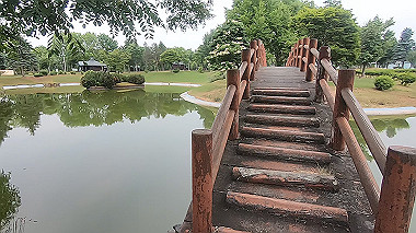 gx018865.mp4_snapshot_00.04_thumb.jpg