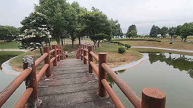gx018865.mp4_snapshot_00.15_thumb.jpg