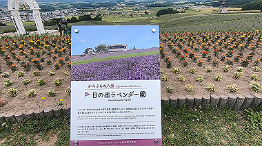 gx018879.mp4_snapshot_00.19_thumb.jpg