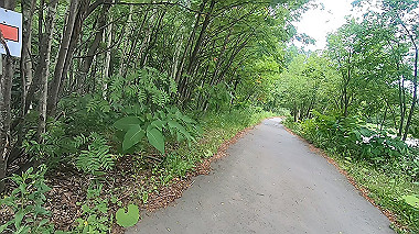 gx018883.mp4_snapshot_01.38_thumb.jpg