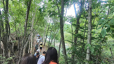 gx018883.mp4_snapshot_01.56_thumb.jpg