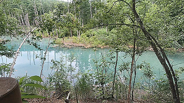gx018883.mp4_snapshot_03.11_thumb.jpg
