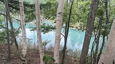gx018883.mp4_snapshot_03.21_thumb.jpg