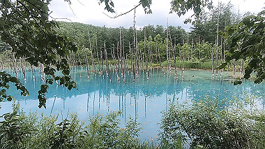 gx018884.mp4_snapshot_00.47_thumb.jpg