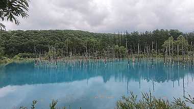 gx018887.mp4_snapshot_00.14_thumb.jpg