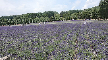 gx018894.mp4_snapshot_00.30_thumb.jpg