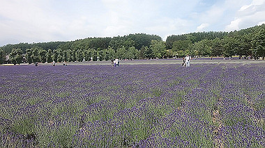 gx018894.mp4_snapshot_00.41_thumb.jpg