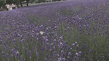 gx018896.mp4_snapshot_00.31_thumb.jpg