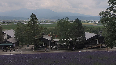 gx018901.mp4_snapshot_00.01_thumb.jpg