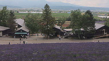 gx018901.mp4_snapshot_00.19_thumb.jpg