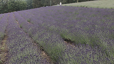 gx018902.mp4_snapshot_00.02_thumb.jpg