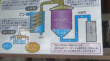 gx018904.mp4_snapshot_00.17_thumb.jpg