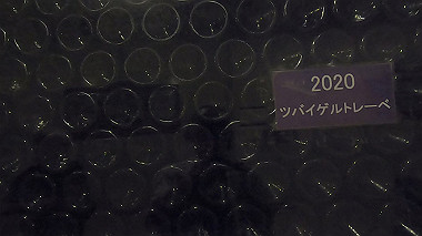 gx018905.mp4_snapshot_01.43_thumb.jpg