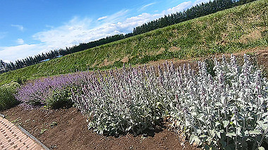 gx018930.mp4_snapshot_00.39_thumb.jpg