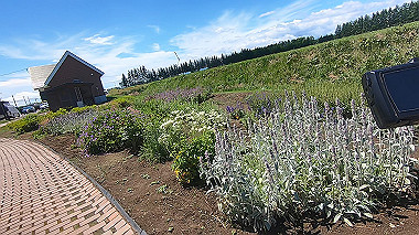 gx018930.mp4_snapshot_01.00_thumb.jpg