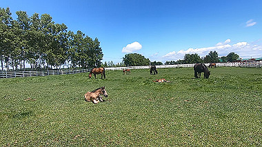 gx018932.mp4_snapshot_00.01_thumb.jpg