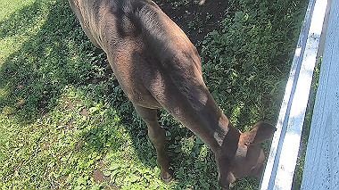 gx018934.mp4_snapshot_00.06_thumb.jpg