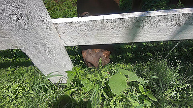 gx018934.mp4_snapshot_00.15_thumb.jpg