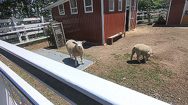 gx018935.mp4_snapshot_00.25_thumb.jpg
