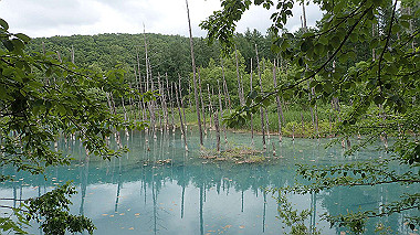 p6300006_thumb.jpg