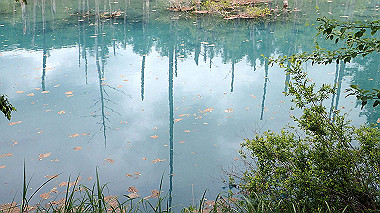 p6300008_thumb.jpg