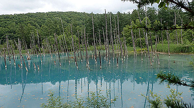 p6300011_thumb.jpg