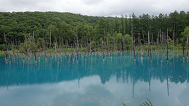 p6300020_thumb.jpg