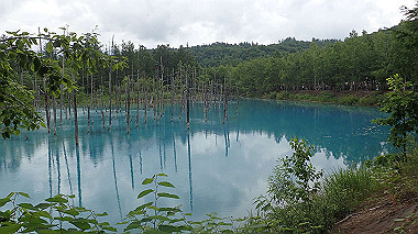 p6300027_thumb.jpg