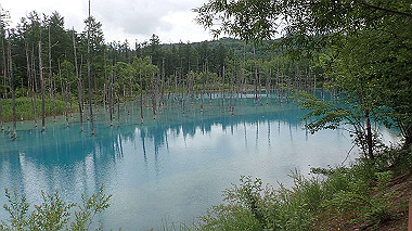 p6300028_thumb.jpg