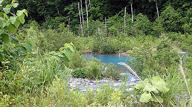 p6300034_thumb.jpg